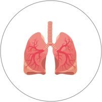 https://sukhmanimedical.com/wp-content/uploads/2022/12/RESPIRATORY-202x202.jpg